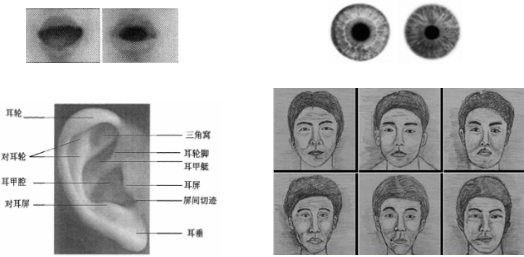 魔镜;人脸识别