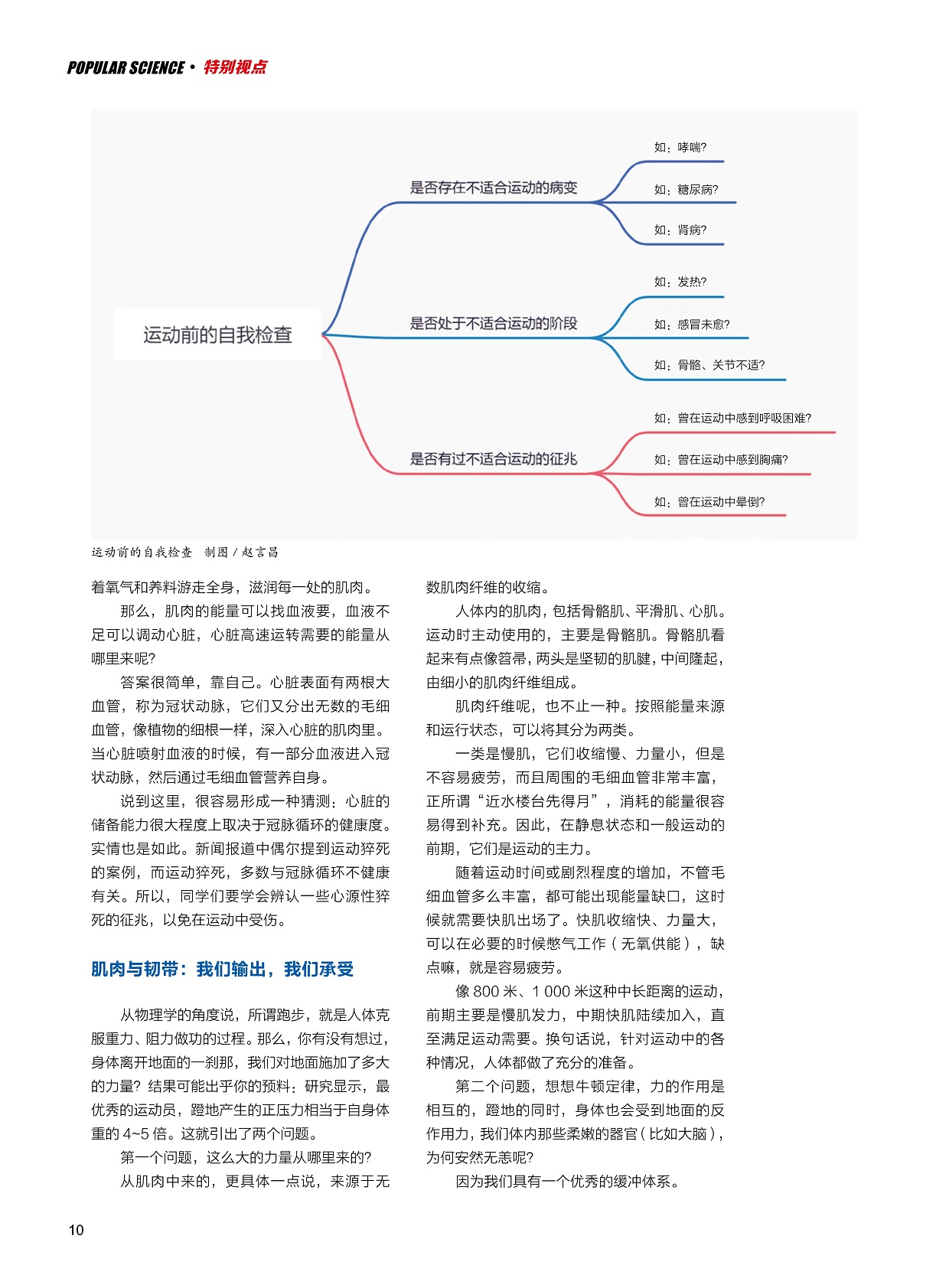 运动前的自我检查,肌肉纤维的种类