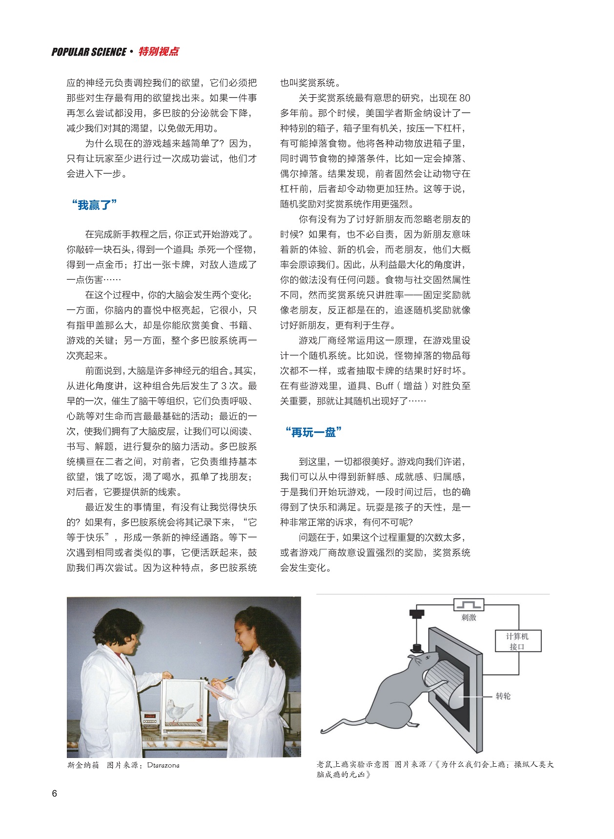 神经元负责调控欲望,奖赏系统变化