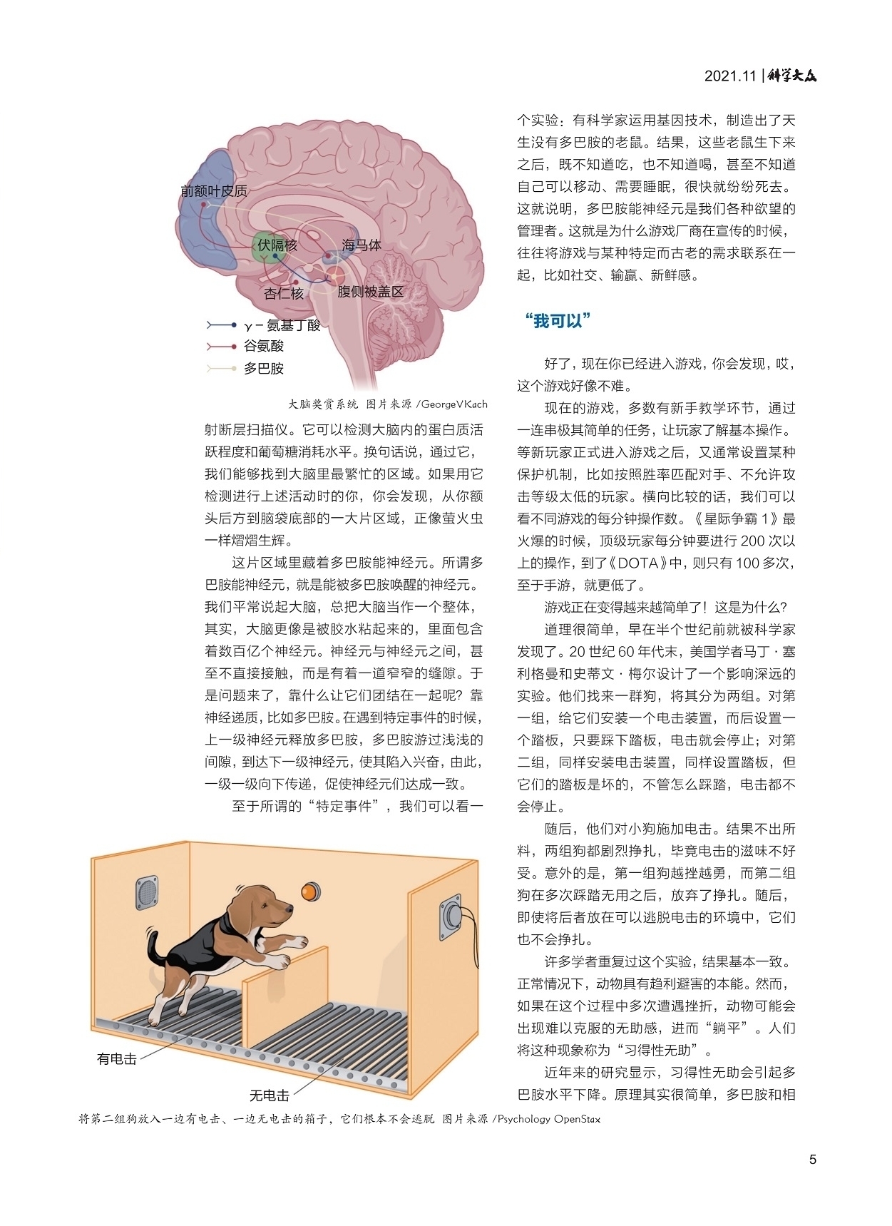 动物趋利避害的本能,习得性无助,多巴胺