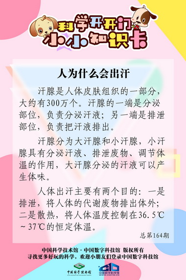 汗;出汗