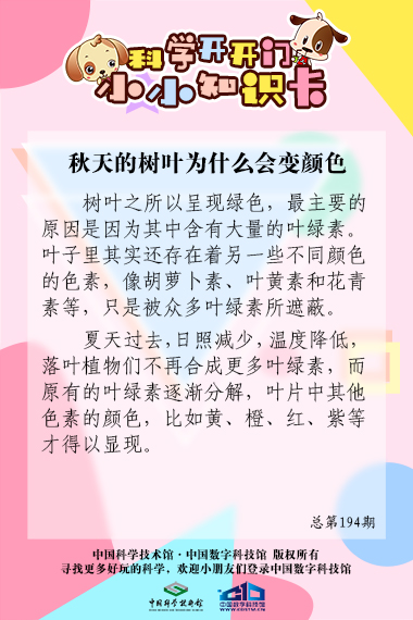 秋天;树叶;变颜色