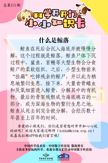 什么是;鲸落