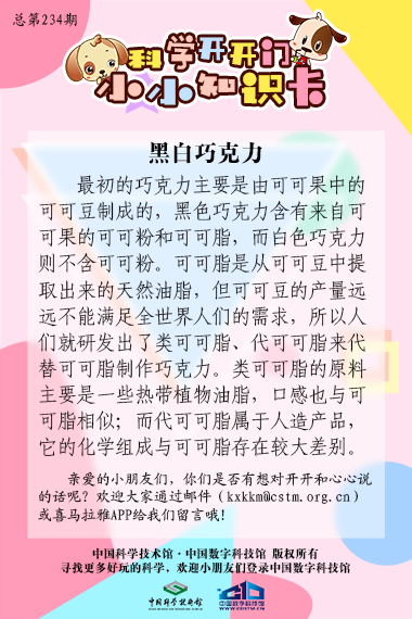 黑白巧克力;巧克力