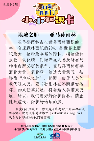 自然地理特辑;地球之肺;亚马孙雨林