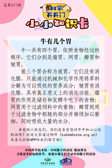 牛肚;百叶;金钱肚