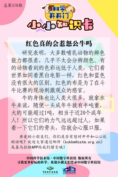 牛年话牛;红色;惹怒公牛