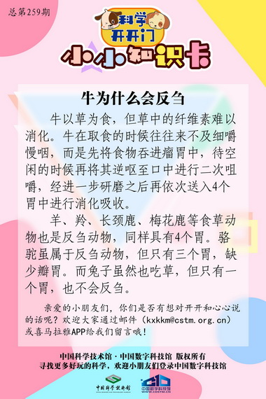 牛年话牛;红色;公牛