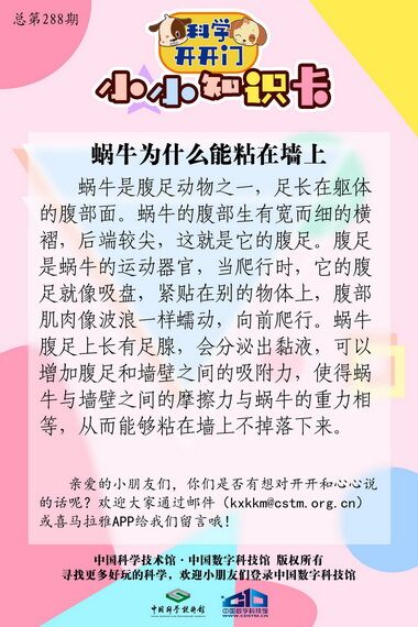 蜗牛,蜗牛为什么能粘在墙上,蜗牛为什么能够粘在墙上而不掉落呢