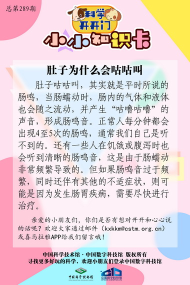 什么是肠鸣,肚子为什么会咕咕叫,肚子咕咕叫的原因