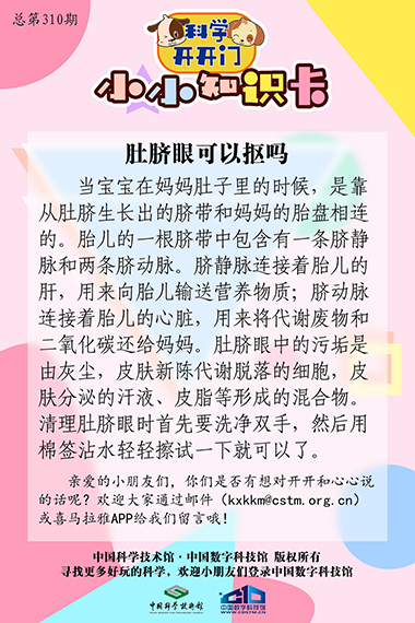 肚脐眼,肚脐眼可以抠吗,肚脐眼到底有什么用处