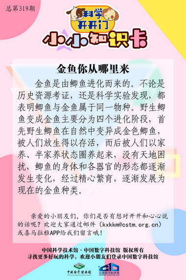 金鱼,金鱼从哪里来,金鱼的生存环境