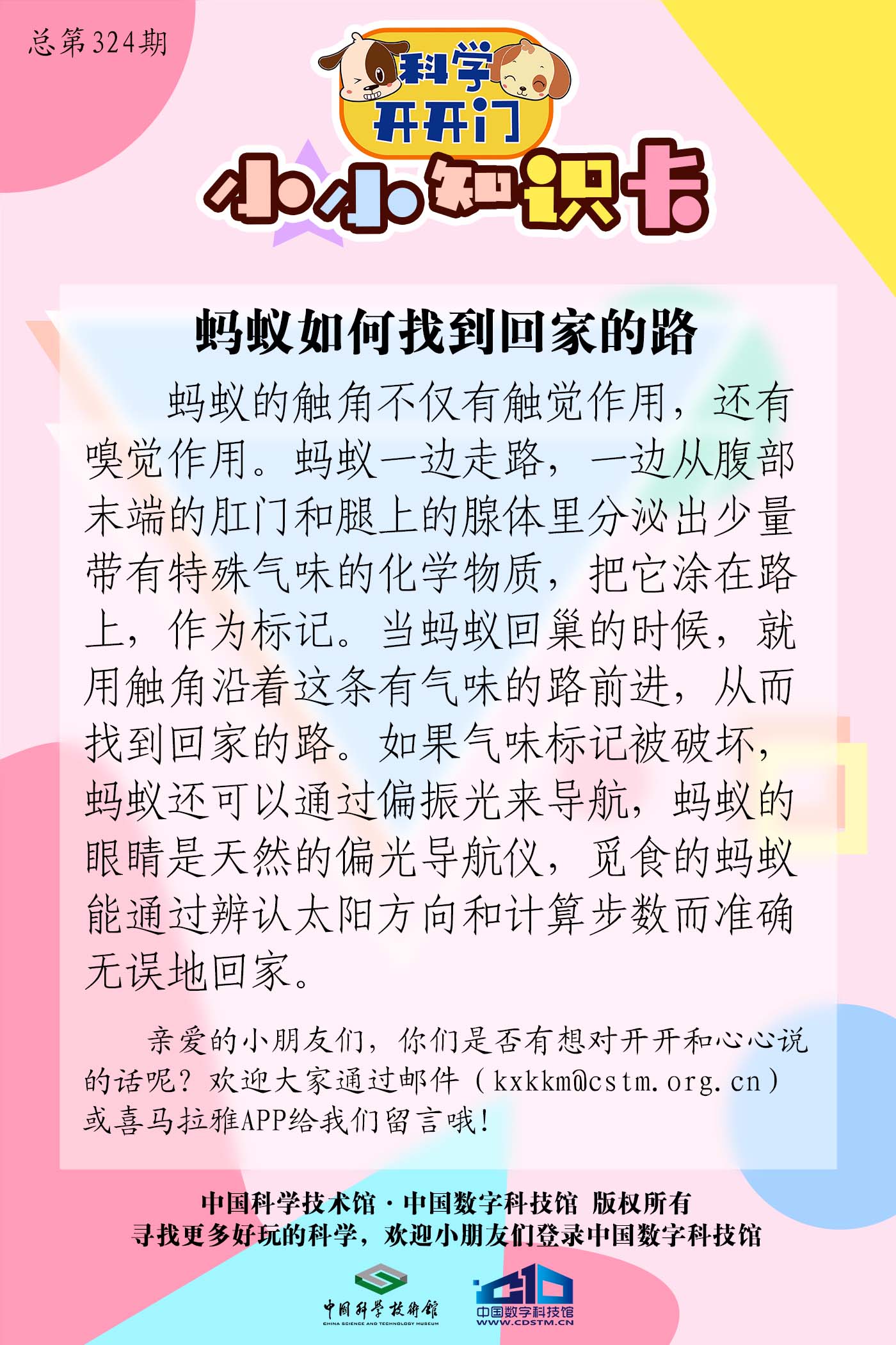 蚂蚁,回家,蚂蚁如何找到回家的路