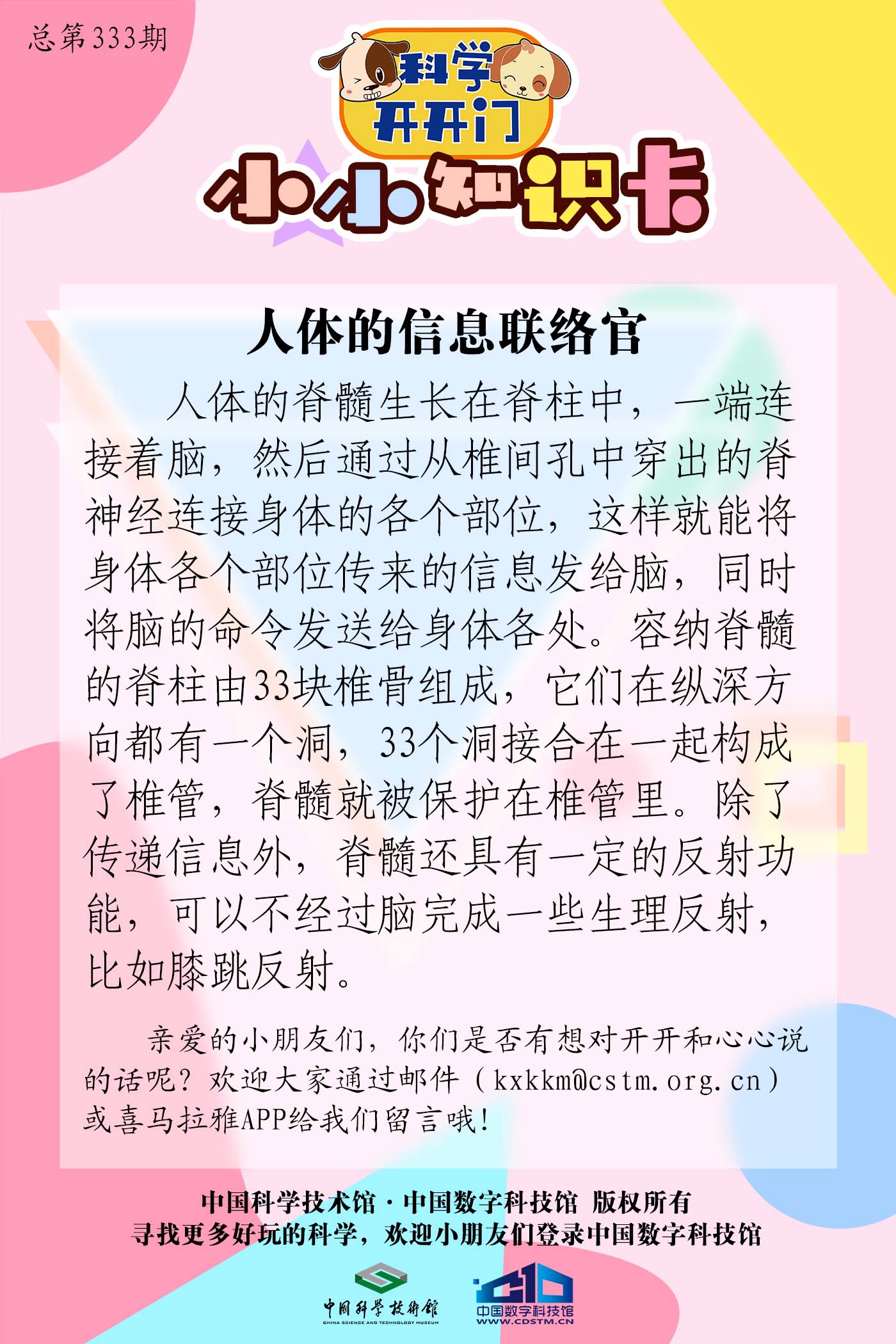 人体的信息联络官,脊髓,脊柱