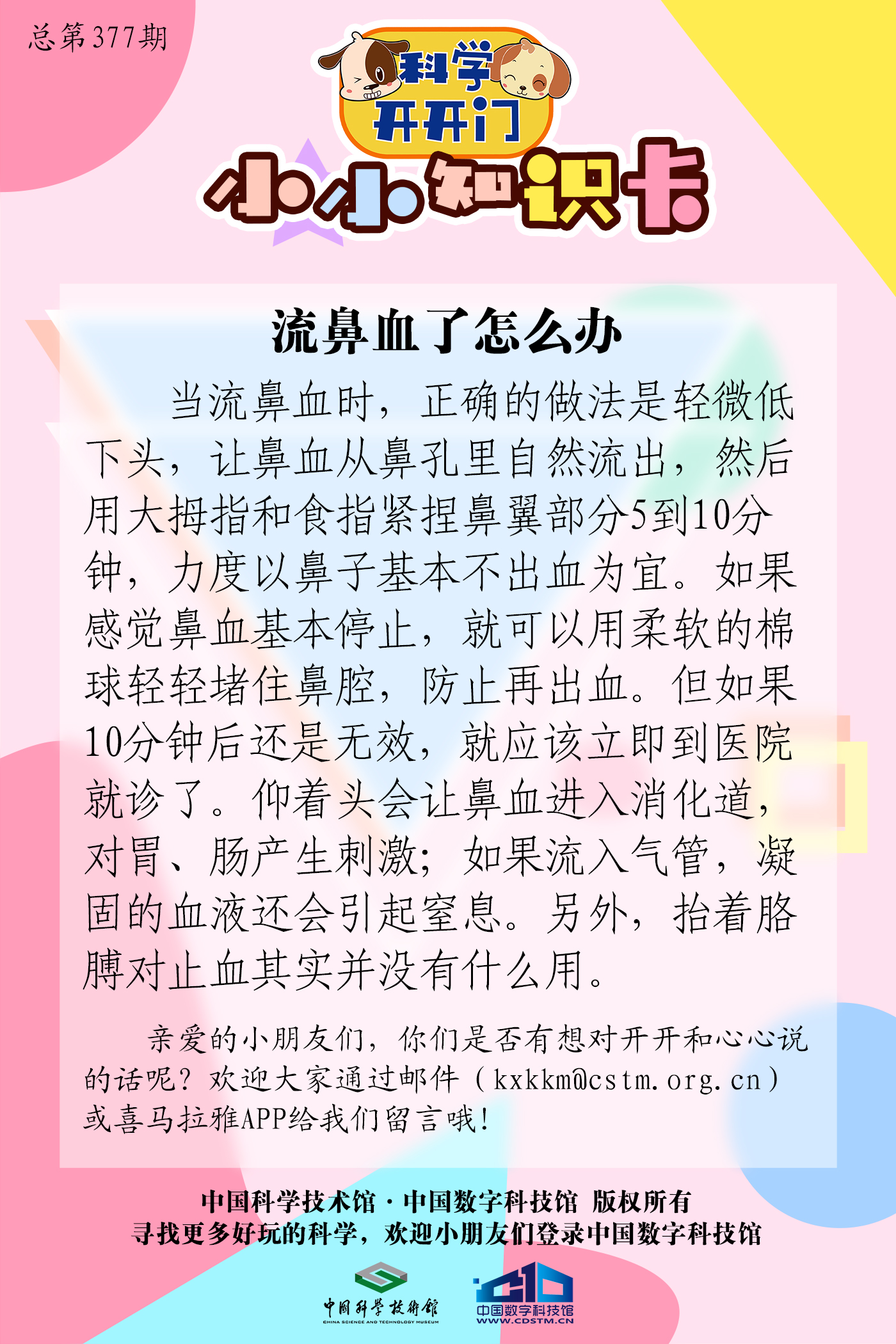 流鼻血了怎么办