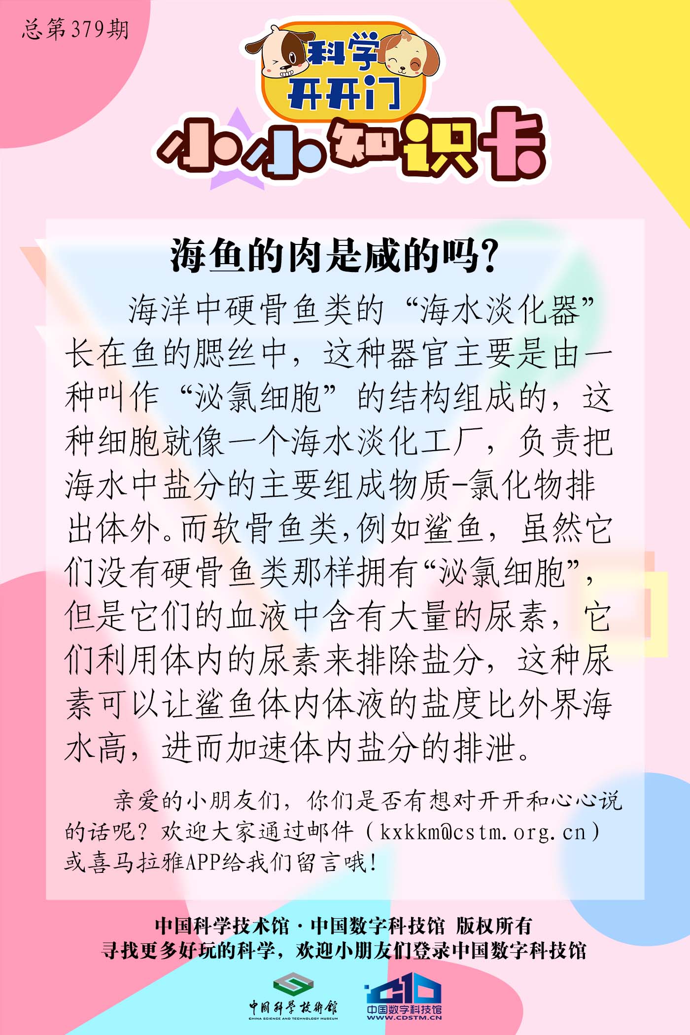 第379集 海鱼的肉是咸的吗？