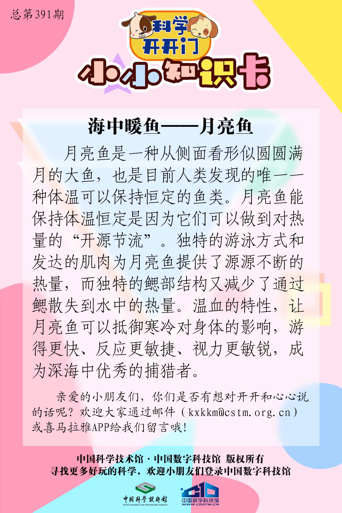 第391集 海中暖鱼——月亮鱼